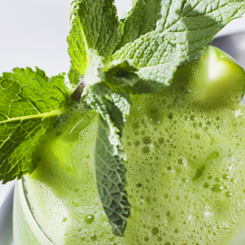 mojito